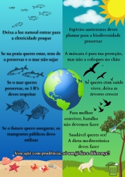 Eco-poster 2024 edfr.jpg